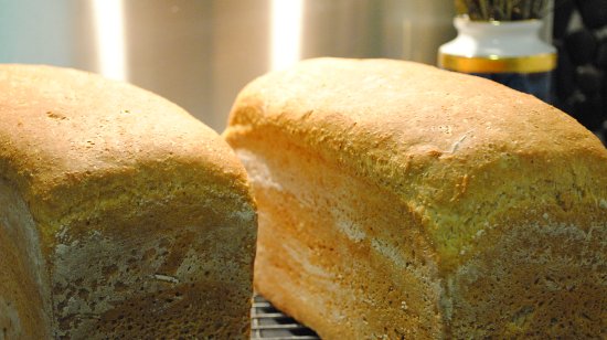 Freshly baked wholemeal bread