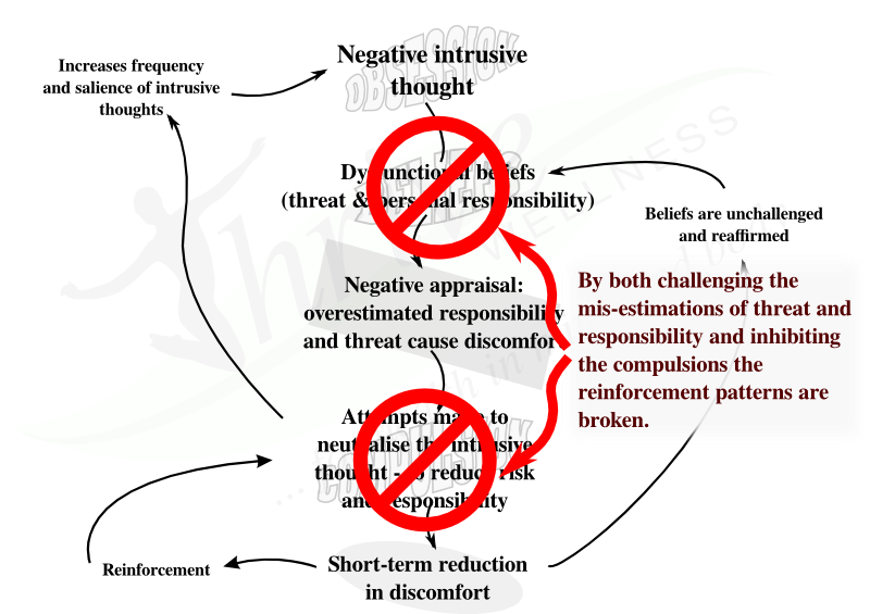 CBT model of OCD