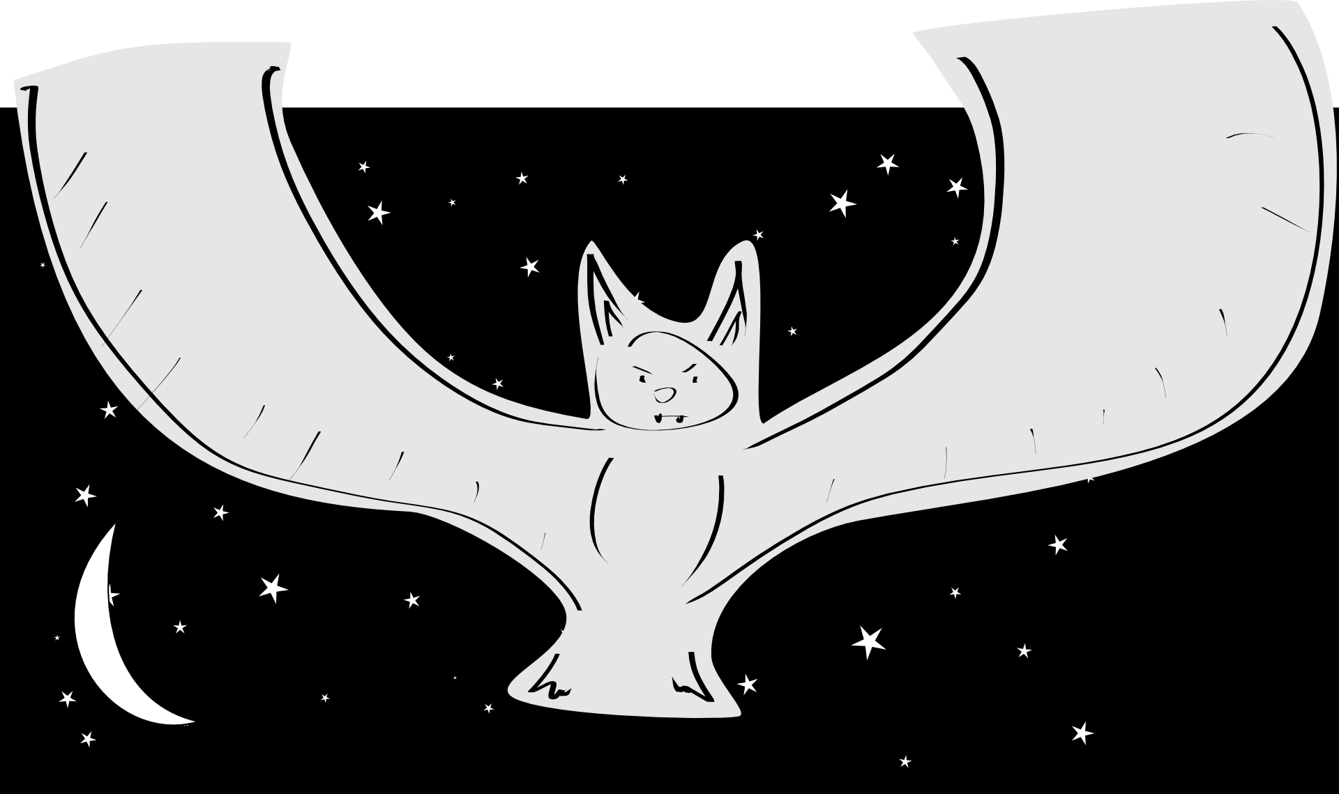 Bat against a night sky
