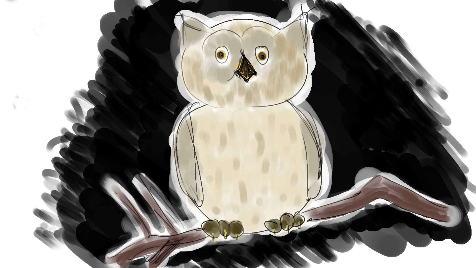 Owl on a branch at night