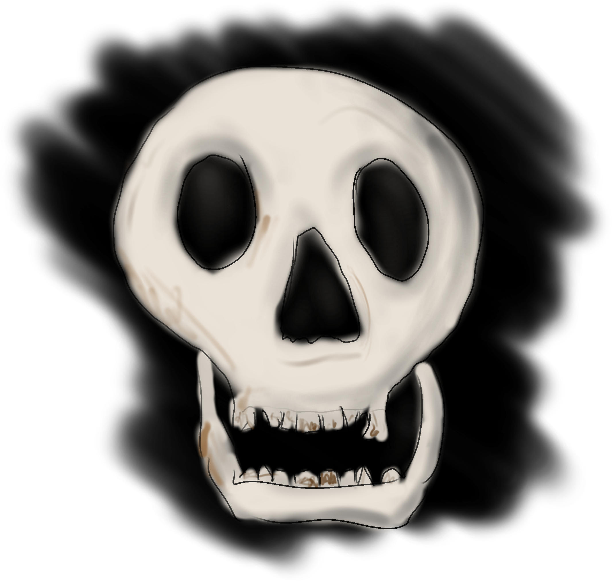 Drawing of a skull