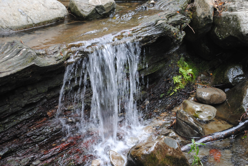 Water over log