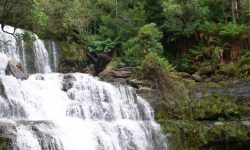 Liffey Falls, Tasmania